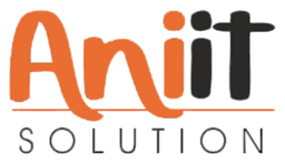 ANI IT Solutions